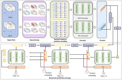 Spatial-temporal transformer network for multi-year ENSO prediction